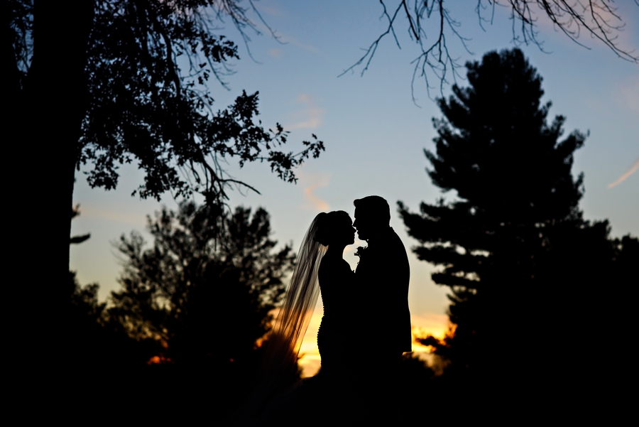 A bride and groom kiss in the setting sun.